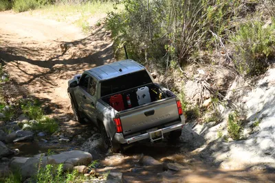 DSC_5918 (Large).JPG